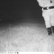 Imagen para el artículo titulado Instalan una cámara trampa para cazar un puma y fotografían dos gorilas, al bigfoot y a Santa Claus